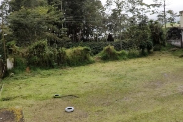 Juegos infantiles